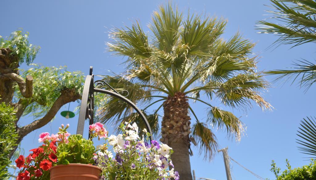 Lido di Noto Ansise Guest House מראה חיצוני תמונה